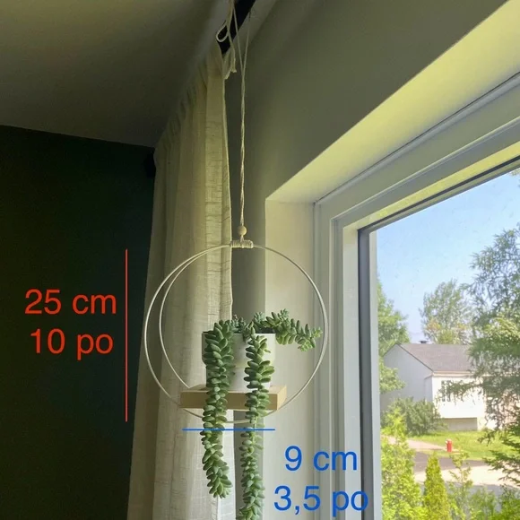 Hanging Planter - Small - Picture 2 of 2
